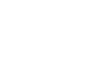 SERVICE 01