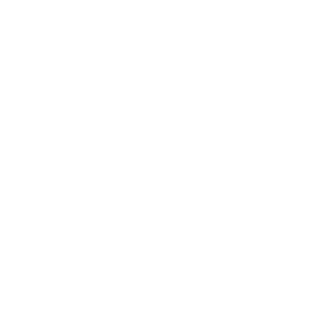 SERVICE 02