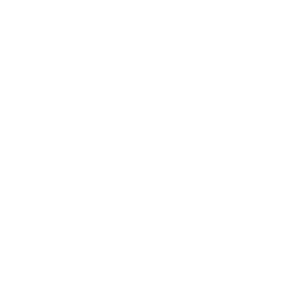 SERVICE 03